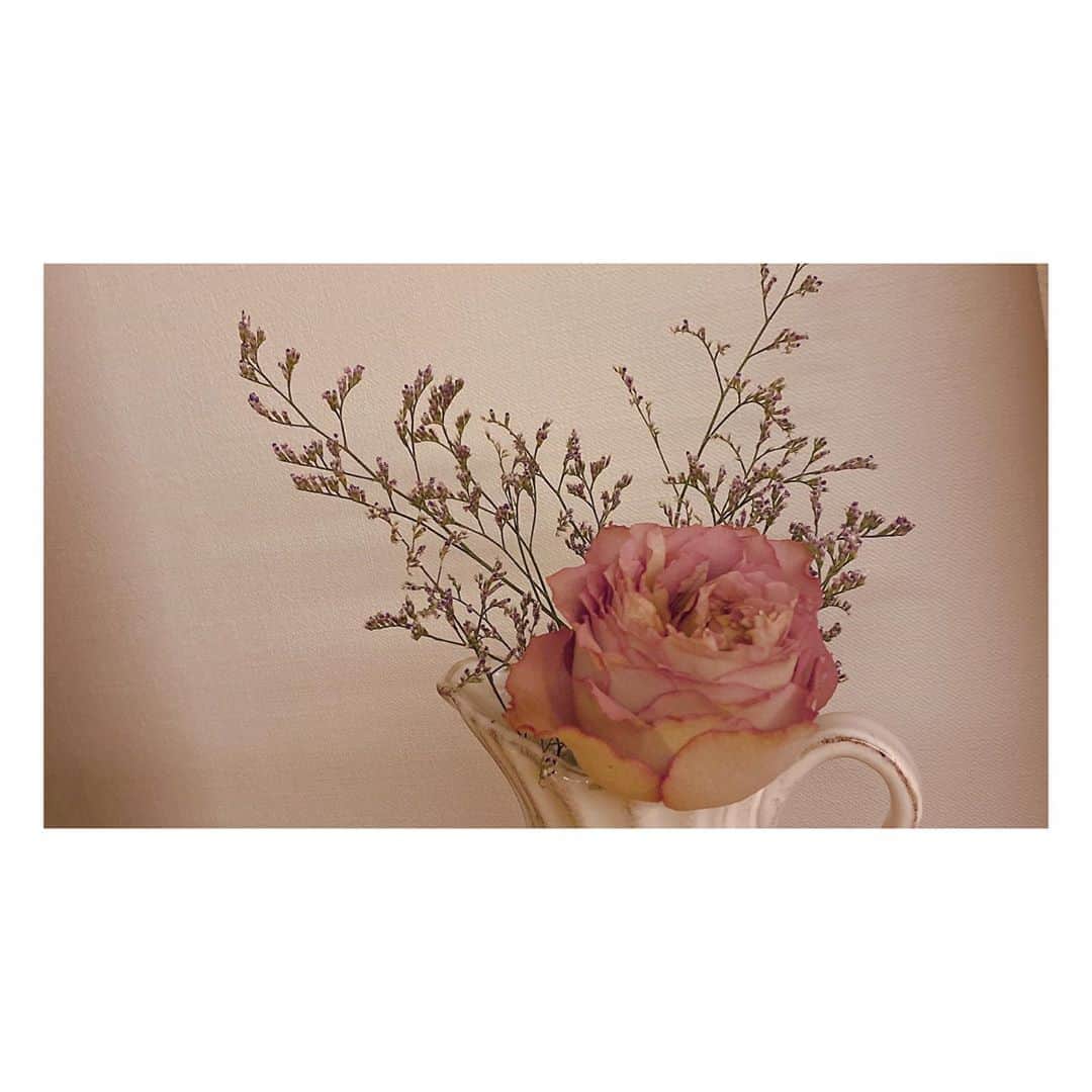 小原好美さんのインスタグラム写真 - (小原好美Instagram)「お部屋にお花を飾りましたっ(●´ー｀●) よきよきっ。  #淡い色の薔薇 #癒されるのぉ #コメントありがとうございます #最近自炊頑張ってるんだぁ」4月29日 21時19分 - konomi_kohara0628