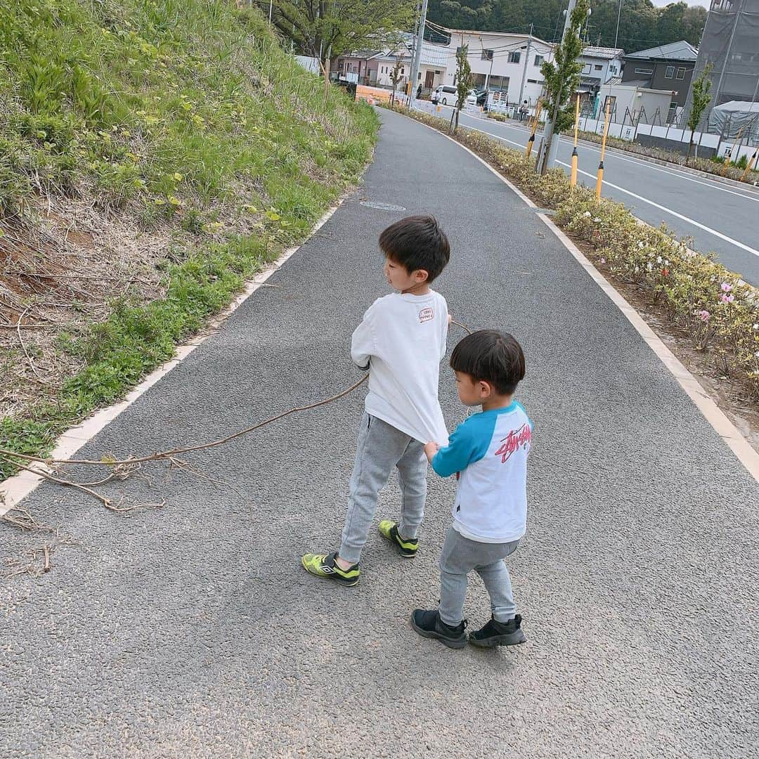 佐藤弥生さんのインスタグラム写真 - (佐藤弥生Instagram)「散歩している途中、草のツルを見つけて「おおきなかぶ」ごっこ🌈 ・ 私の一日☀️ 7:30  起床 8:00  長男の英語の宿題を見る 8:30  朝ごはん作り(昨夜のカレーに目玉焼きをのせて) 8:50  朝食 9:00  朝食を家族が食べてる間、ベッドシーツを洗濯 終わり次第、朝食片付け 9:30  長男の公文の課題＋保育園の国語ドリル(今日はカタカナのホ)、算数ドリル(1.2.3.4数字の練習)を見る 10:30  自分にコーヒー☕️を入れるが、次男がヒマで痺れを切らして、ディズニー図鑑を持ってきたので読むことになる。 11:00  宿題を終えた長男が、ポケモン図鑑を持ってきたので読むことになる。 11:30  冷めきったコーヒーを飲む☕️、お昼ご飯の準備 12:00  お昼ご飯(キャベツとチキンのコンソメパスタ) 12:30  片付け 13:00  お散歩(長男は自転車、次男はストライダー、パパママ走る🏃‍♀️🏃‍♂️) 14:30  帰宅しておやつandドリンクタイム 15:00  次男寝かしつけドライブ🚘and買い出し(ビニール袋大3つ分を1人で買い込む) 16:00  帰宅後、買い出したものをしまう 16:15  自分の仕事の宿題 16:45  YouTubeエクササイズ 17:15  お風呂タイム 18:00  夕食準備 18:30  夕食(焼肉、貝のお刺身、サラダ、パイナップル、ハイボール🍻) 19:30  片付け 20:00  長男の鍵盤ハーモニカを教える🎶(長男も大変だ、、、) 20:30  子供たちパジャマへお着替え、歯磨き、顔にクリームを塗る 20:45  子供たち就寝 21:00  洗濯機を回すand干す 21:30  明日仕事のため、家族分のお昼ご飯の準備 ・ これが終われば 22:00  my timeになる予定。。 23:00  就寝。。 ・ ・ 買い出し、仕事はない日もあるけれど、こんな毎日の繰り返しの日々を過ごしております☀️ バタバタとあっという間に一日が終わっていく。家族のために踏ん張りどころ！ ・ お疲れ様でした🙇‍♀️🙇‍♀️🙇‍♀️ #ママの一日#ご飯作って終わる#家族の散歩#楽しいひと時#毎日快眠#気合いで乗り切る」4月29日 21時31分 - sato__yayoi