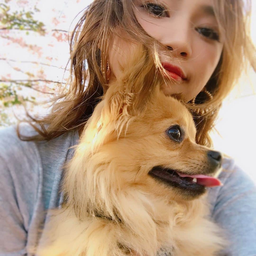 新井ニーニャのインスタグラム：「3年前の桜とベラくんと私🌸 なんだか季節が止まってる気がするよ😷 #おうち時間　#stayhome」