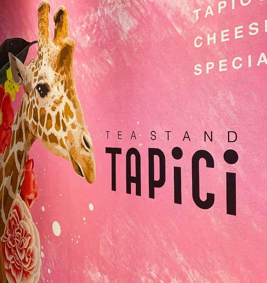 TAPICIさんのインスタグラム写真 - (TAPICIInstagram)「. . 可愛い動物たちがたくさんいるtapici🦒💓 . インスタ映えすぎる空間でたくさん素敵な写真を撮ってください🥰✨ . . いつも投稿をご覧にくださっているフォロワーの皆様、ありがとうございます😌✨ . 現在、コロナウイルスの影響で大変な状況にあり、本当に胸が苦しい日々が続いております。 . 今は自粛して、お体には充分お気をつけてください😢 コロナに負けず、日常を取り戻せるよう毎日元気に頑張っていきましょう❗️😤✨ . #コロナに負けるな ❗️ . . また元気な日常が戻った時には、スタッフ一同笑顔で皆様のご来店心よりお待ちしております☺︎ . . ---Information---﻿ 政府からの緊急事態宣言発令に伴い、スタッフの安全確保、新型コロナウィルス感染拡大防止の観点から、﻿ 下記店舗を休店させて頂いております。﻿ ご理解ご協力のほど何卒よろしくお願い致します。﻿ また、一部店舗では短縮営業を実施しております。﻿ 詳しくはTAPiCi公式HPよりご確認下さい。 ﻿ --- ﻿ ﻿. . . 🦒 . もちもちの生タピオカを自家製黒糖シロップにつけ込みました🌝 タピオカの最も美味しい食感を追求した独自製法により炊き上げ、時間がたっても硬くなりにくく、しっとりもちもち生タピオカに仕上げました🌞 . 🦒 . . #タピオカ #チーズティー #タピチ #タピオカチーズティー #ティースタンド #タピオカドリンク #ドリンク #生タピオカ #もちもちタピオカ #もちもち #インスタ映え #インスタ映えカフェ #梅田カフェ #大阪タピオカ #梅田タピオカ #難波タピオカ #心斎橋タピオカ  #tapici #cheesetea #tapioka #akichi #teastand #drinkstand #tapioca」4月29日 21時48分 - pablo_cheese_tart_japan