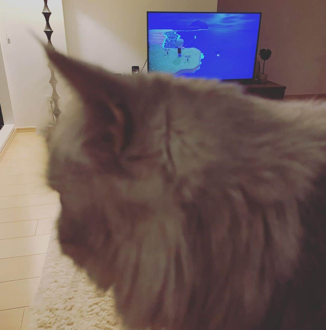 木村了のインスタグラム