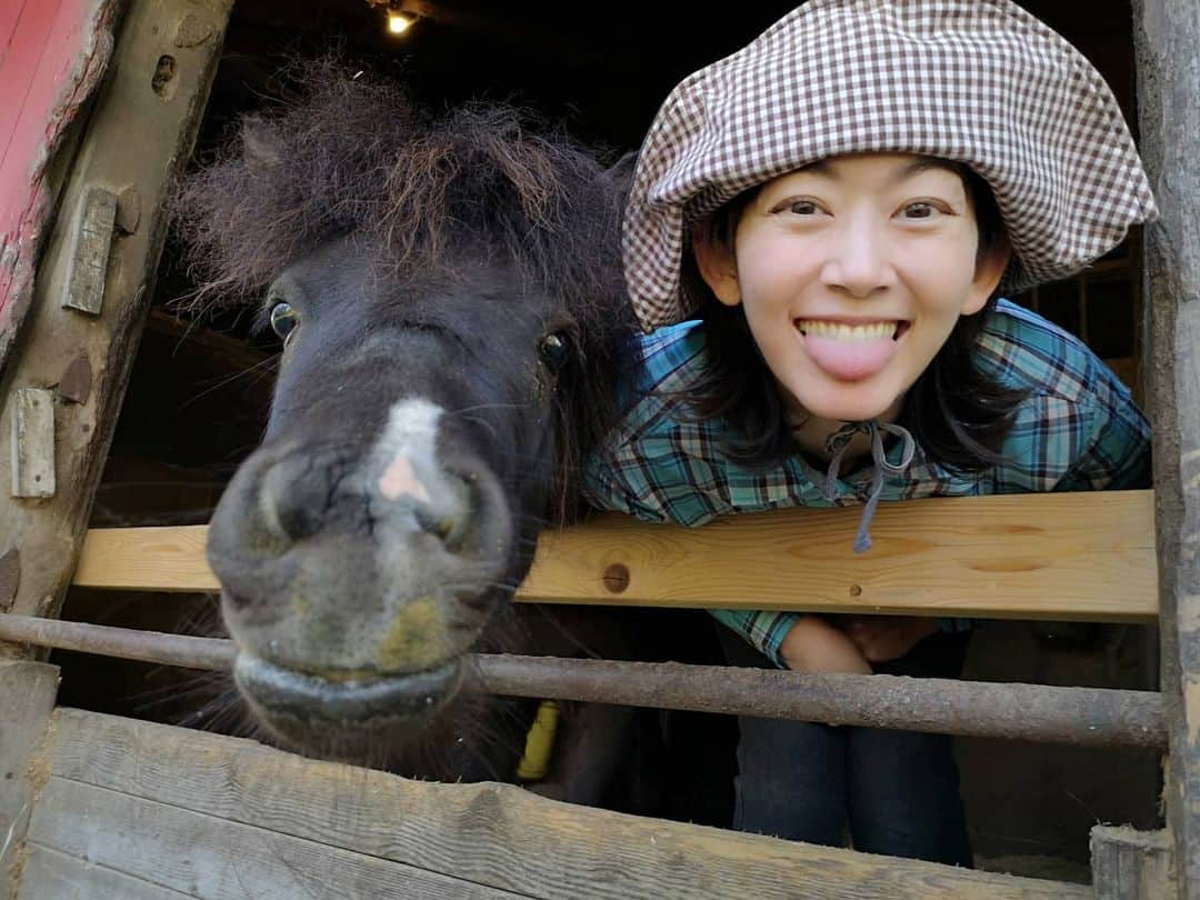 佐藤藍子さんのインスタグラム写真 - (佐藤藍子Instagram)「クラブで１番小っちゃくて、１番若い ポニーの、しょうへい🐴  コレ、スタッフさんがしょうへいに教えたんです😛  しょうへいに『べー😛』と言うと、この表情をしてくれます‼️ 瞳がクリクリで、とにかく、きゃわええ、しょうへい🐴  いつも癒してくれて、ありまとー😆  #ポニー#遠野出身のポニー#ポニーと同じ表情#pony#aikosato #佐藤藍子」4月29日 22時38分 - sato_aiko_official