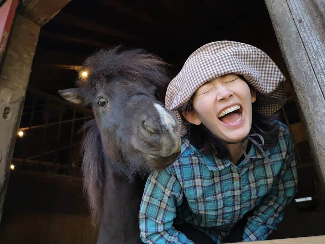 佐藤藍子さんのインスタグラム写真 - (佐藤藍子Instagram)「クラブで１番小っちゃくて、１番若い ポニーの、しょうへい🐴  コレ、スタッフさんがしょうへいに教えたんです😛  しょうへいに『べー😛』と言うと、この表情をしてくれます‼️ 瞳がクリクリで、とにかく、きゃわええ、しょうへい🐴  いつも癒してくれて、ありまとー😆  #ポニー#遠野出身のポニー#ポニーと同じ表情#pony#aikosato #佐藤藍子」4月29日 22時38分 - sato_aiko_official