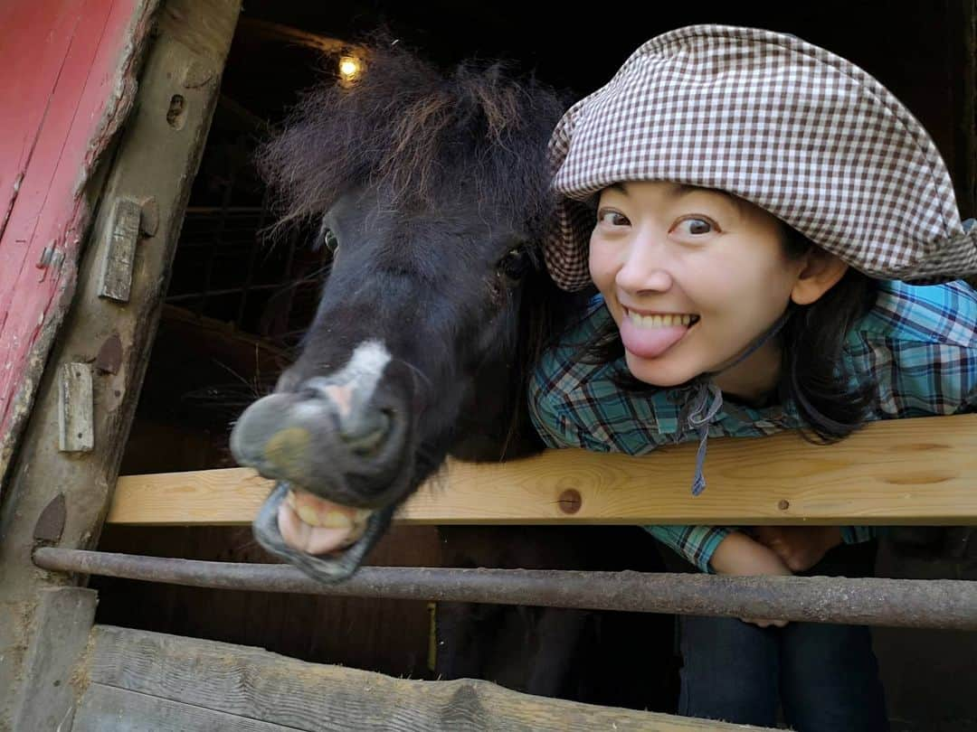 佐藤藍子さんのインスタグラム写真 - (佐藤藍子Instagram)「クラブで１番小っちゃくて、１番若い ポニーの、しょうへい🐴  コレ、スタッフさんがしょうへいに教えたんです😛  しょうへいに『べー😛』と言うと、この表情をしてくれます‼️ 瞳がクリクリで、とにかく、きゃわええ、しょうへい🐴  いつも癒してくれて、ありまとー😆  #ポニー#遠野出身のポニー#ポニーと同じ表情#pony#aikosato #佐藤藍子」4月29日 22時38分 - sato_aiko_official