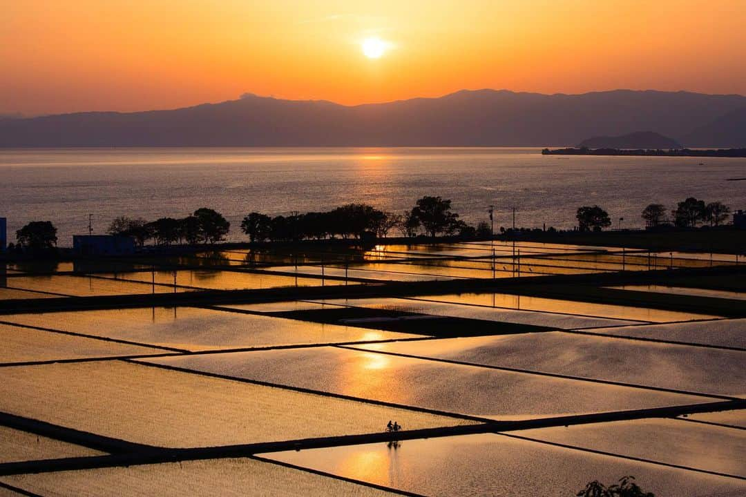 滋賀県長浜市さんのインスタグラム写真 - (滋賀県長浜市Instagram)「【シリーズ　長浜の景色】 長浜では田植えのシーズンがスタートしました！ この写真は一昨年前の田植え後の写真🌾 田園が多い長浜ならではの風景。田んぼに水が張られるこの時期はほんと美しいですね✨  思うように外出できない毎日ですが、少しでも長浜の景色を楽しんでいただけるよう、過去の写真を織り交ぜながら長浜の景色をお贈りしています☺️ location 田村山 date 2018.5.14  #長浜ちょぴっく #みんなのちょぴっく #長浜市 #滋賀県 #広報ながはま #しがトコ #滋賀写真部 #桜 #田んぼ  #田植え #japan #60sistercityaan #風景写真 #長浜の景色 #過去pic #がんばろう #コロナに負けるな #元気 #田園風景 #逆光 #シルエット #望遠レンズ #お気に入り #夕焼け #sunset #夕景 #琵琶湖 #水鏡 #リフレクション #光の海」4月29日 23時11分 - nagahama_city