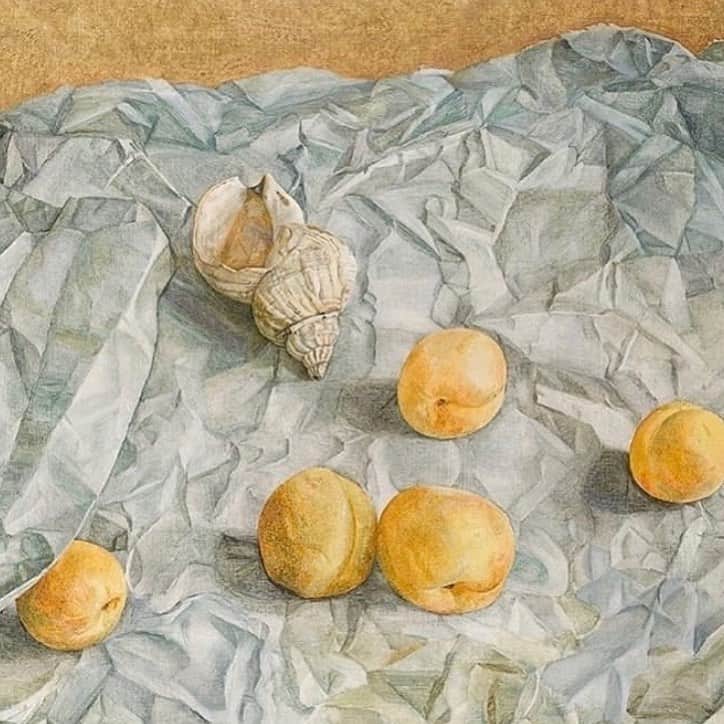 のインスタグラム：「Lucian Freud, “Still life with apricots & shell” detail, c.1949 via @moro_dabron」