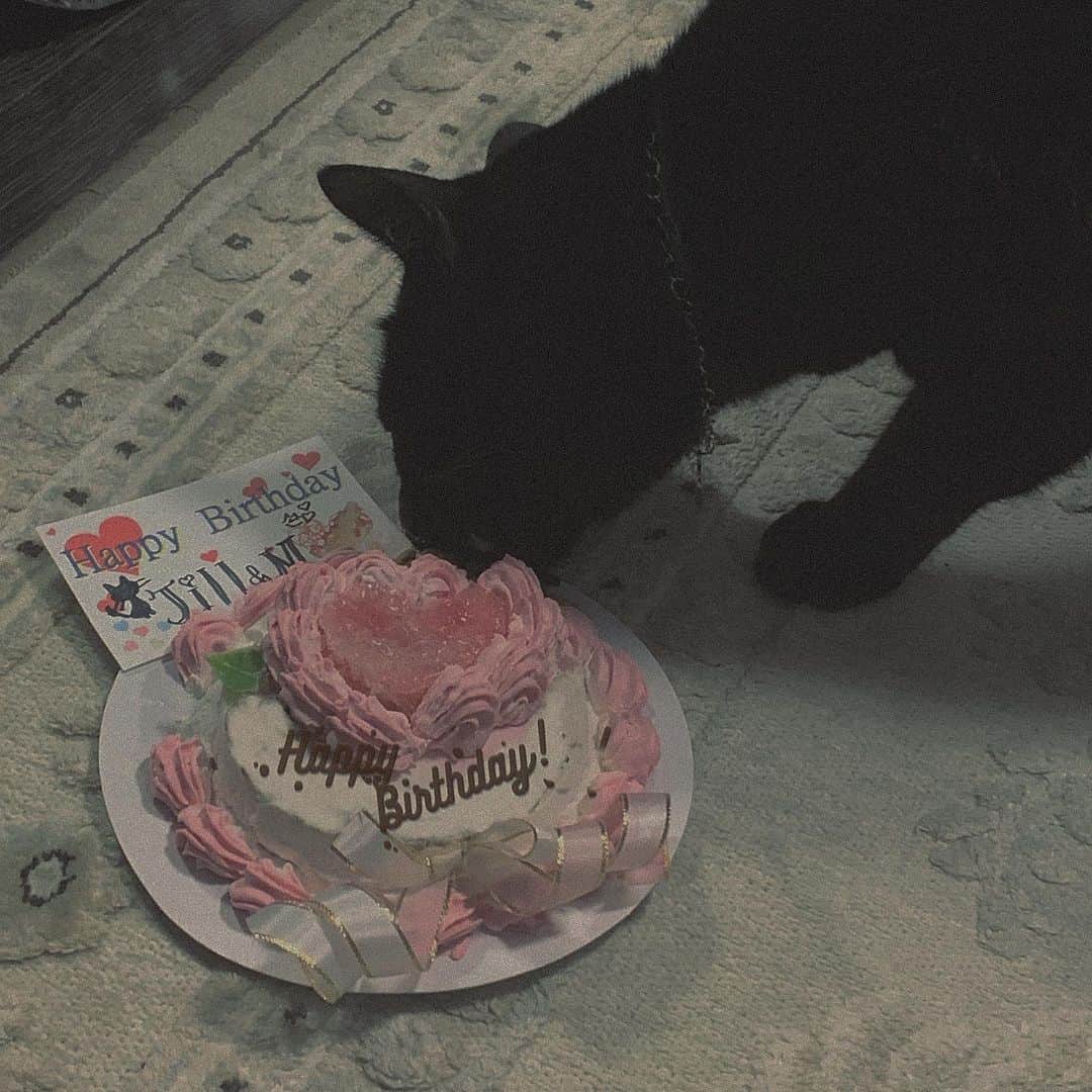 chiiiiiのインスタグラム：「HappyBday My👶🏻💋💍 長生きしようね」