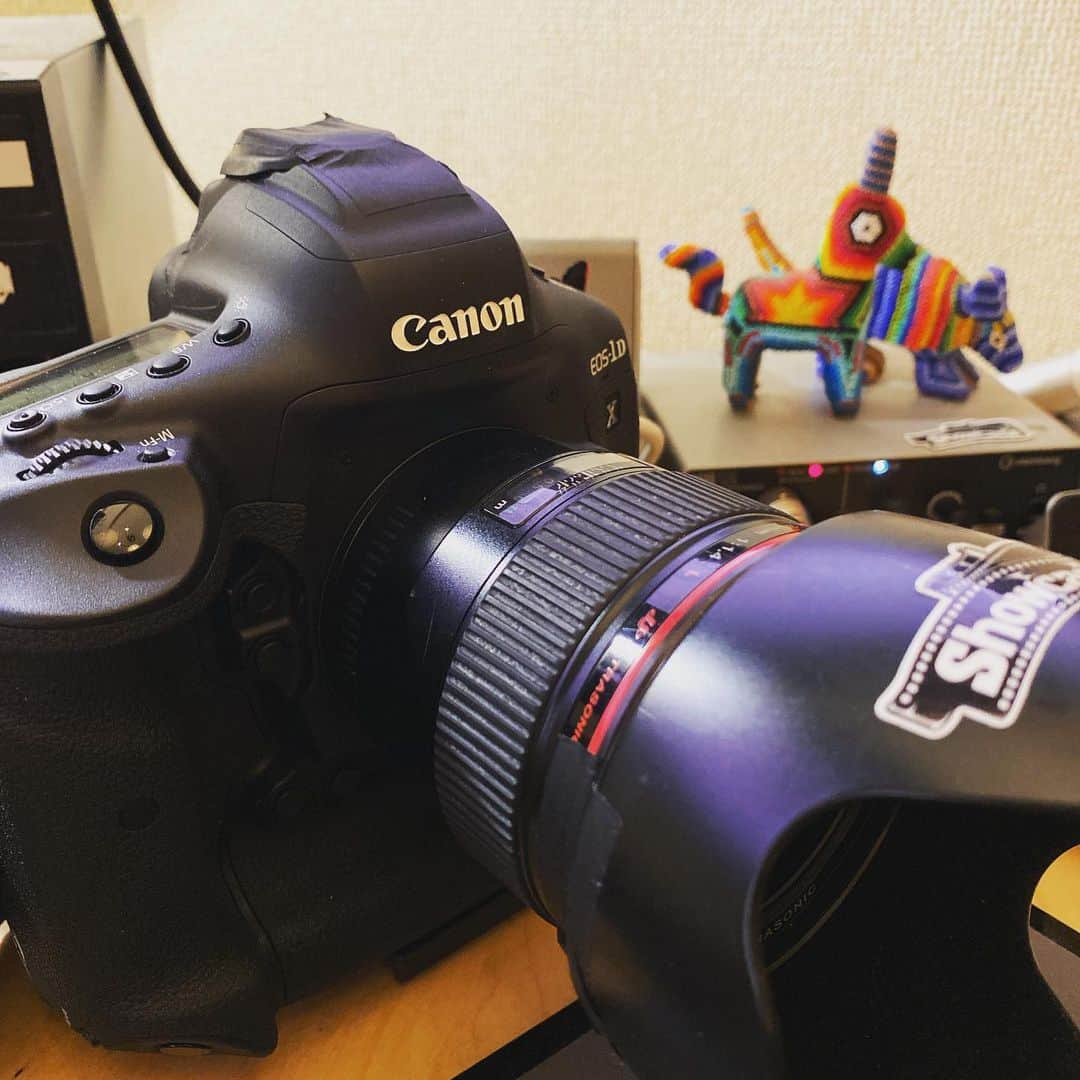 三吉ツカサのインスタグラム：「Windows使ってる人ならCanon EOSがWEBカメラになるソフトがリリースされたよー！ インストールしたらEOSをUSBでPCに接続して、ビデオを使うアプリでEos Webcam~を選ぶだけ！ #キヤノンよくやった」