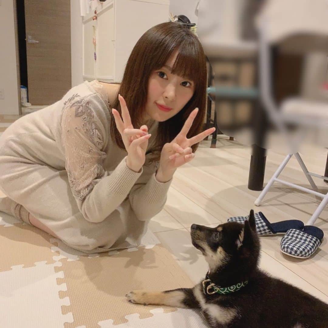 環奈（長沢菜々香の飼い犬）のインスタグラム：「見られてる👀 . . . . . .  #豆柴#柴犬#日本犬#黒柴#黒豆柴#まめしば#しばいぬ#しば#しばすたぐらむ #こいぬ #柴  #ここ柴部#柴子犬 #shibalove #mameshiba #kuroshiba #shibainu #shiba #shibadog #shibastagram #shibastyle#なーこ#長沢菜々香」