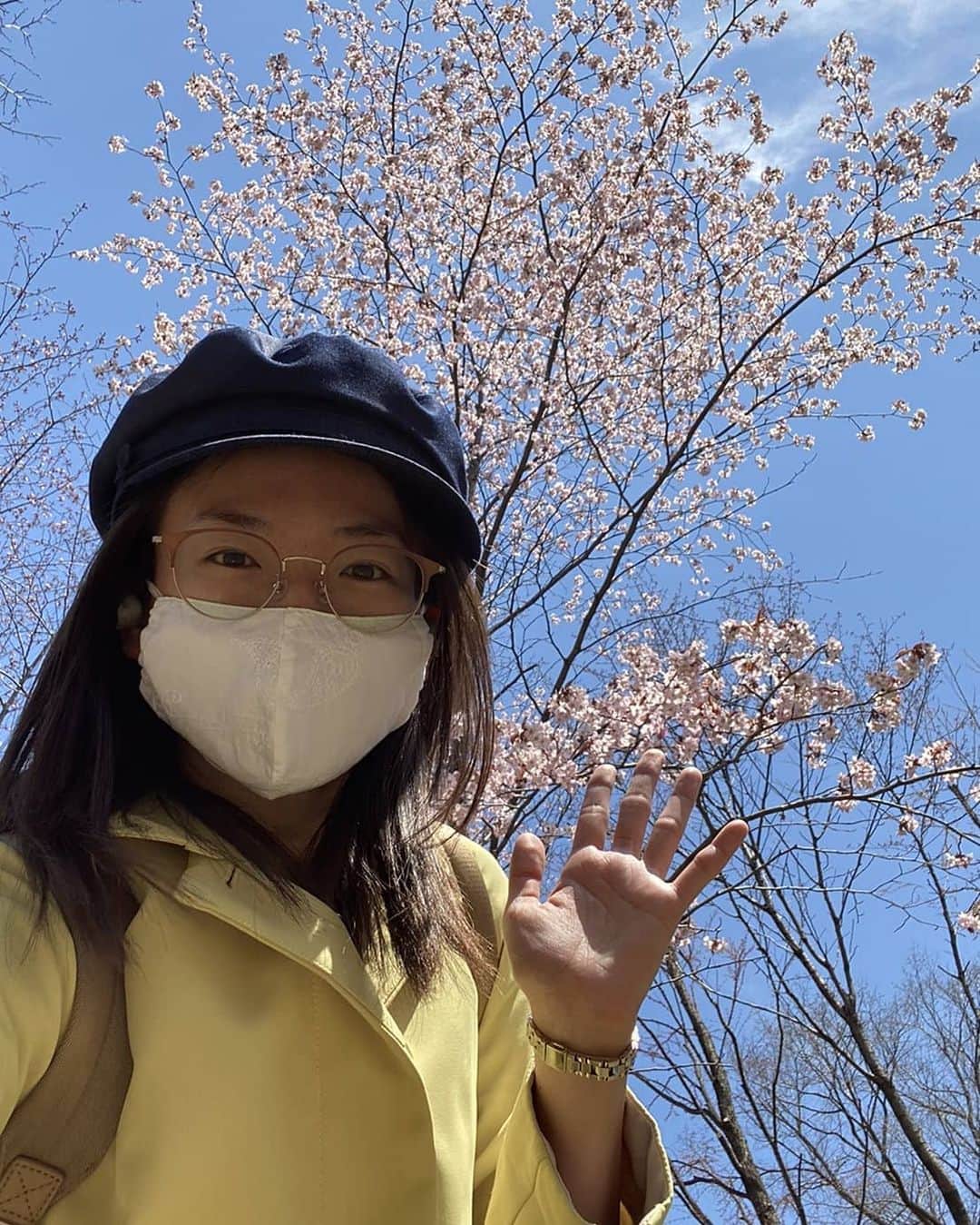 北海道放送「今日ドキッ!」さんのインスタグラム写真 - (北海道放送「今日ドキッ!」Instagram)「#そらリサーチ 日替わり投稿。 きょうは #金城茉里奈 アナの ご近所散歩から！  春はちゃんとやってきた🌸 桜だあー！ 遠目から、ぶぁっと広がるピンクを眺めるもよし 近寄って、薄くて柔らかそうな花びらと長いおしべを見つめるのもよし🎶 青空も相まって、いい感じ！ ぼさぼさスッピンも気にならないくらいの綺麗さでしょう？ (と、いうことにさせてください。)」4月30日 14時20分 - hbc_kyodoki