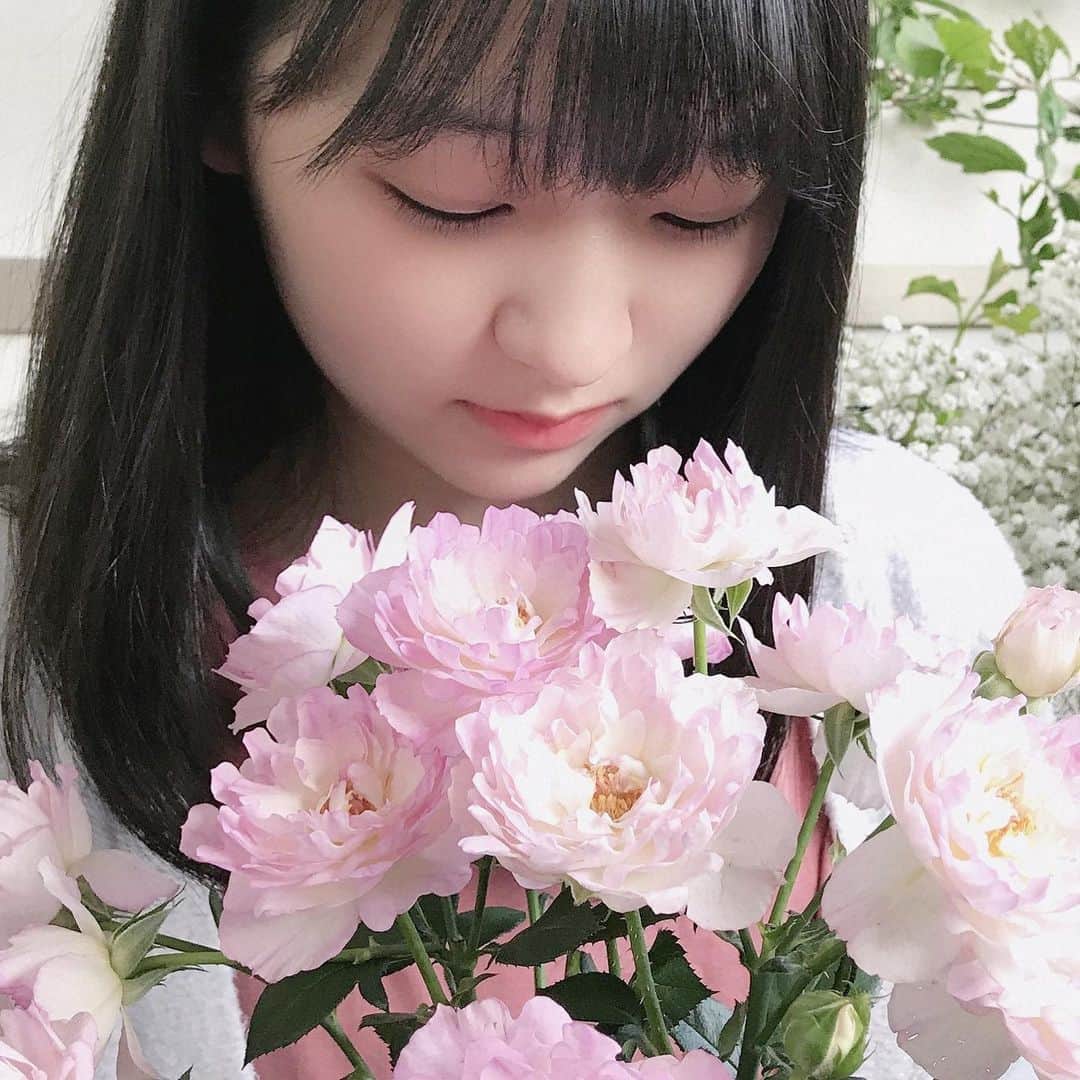 前野えまさんのインスタグラム写真 - (前野えまInstagram)「シーアネモネという名前の薔薇です🌹 こういう薔薇もあるんですね✨ 1本にたくさん花がついていて可愛いです💕 ・ ・ #おはようございます #薔薇 #シーアネモネ #ピンク #花 #花と私 #花のある暮らし #前野えま  #goodmorning #pink #rose #seaanemone #flowers #flowerstagram  #follow #followme #instafollow #instagood #tagsforlikes #tflers #tagsforlikesapp  #actor #actress #girl #photography #portrait #portraitphotography」4月30日 6時31分 - maeno_ema