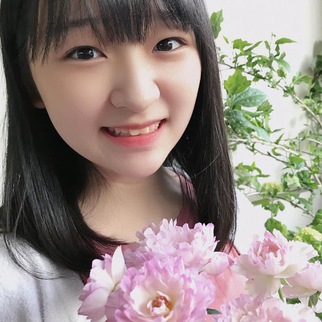 前野えまさんのインスタグラム写真 - (前野えまInstagram)「シーアネモネという名前の薔薇です🌹 こういう薔薇もあるんですね✨ 1本にたくさん花がついていて可愛いです💕 ・ ・ #おはようございます #薔薇 #シーアネモネ #ピンク #花 #花と私 #花のある暮らし #前野えま  #goodmorning #pink #rose #seaanemone #flowers #flowerstagram  #follow #followme #instafollow #instagood #tagsforlikes #tflers #tagsforlikesapp  #actor #actress #girl #photography #portrait #portraitphotography」4月30日 6時31分 - maeno_ema