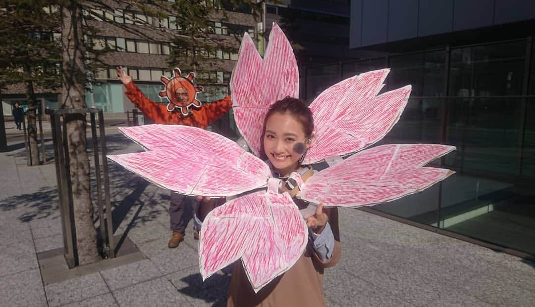北海道テレビ「イチオシ！モーニング」さんのインスタグラム写真 - (北海道テレビ「イチオシ！モーニング」Instagram)「今日の札幌は最高気温20℃！！ オンエアではルナ桜が咲ききれなかったので、写真で公開！！ ホンモノの桜もどんどん咲いてくれそうですね♪ 自粛中ですがお近くの桜を散歩しながら眺めたいですね🌸  #イチモニ #ルナ #開花宣言楽しみ #桜」4月30日 9時30分 - htb_ichimoni