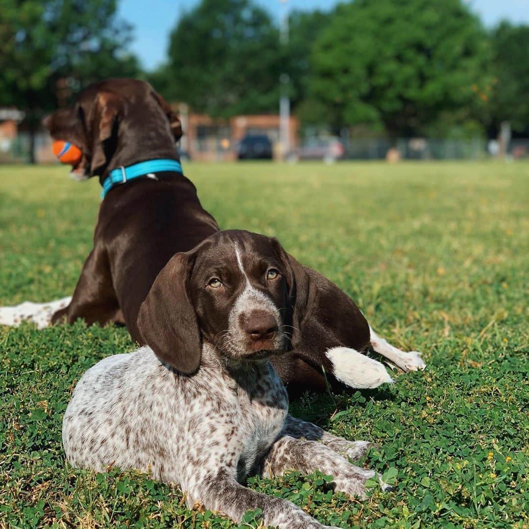 ジョジョ・フレッチャーのインスタグラム：「Well.... don’t think we’ll be saying “now what?” anytime soon 😂 Say hello to @jackiemoonthegsp’s new baby brother, Jagger!」