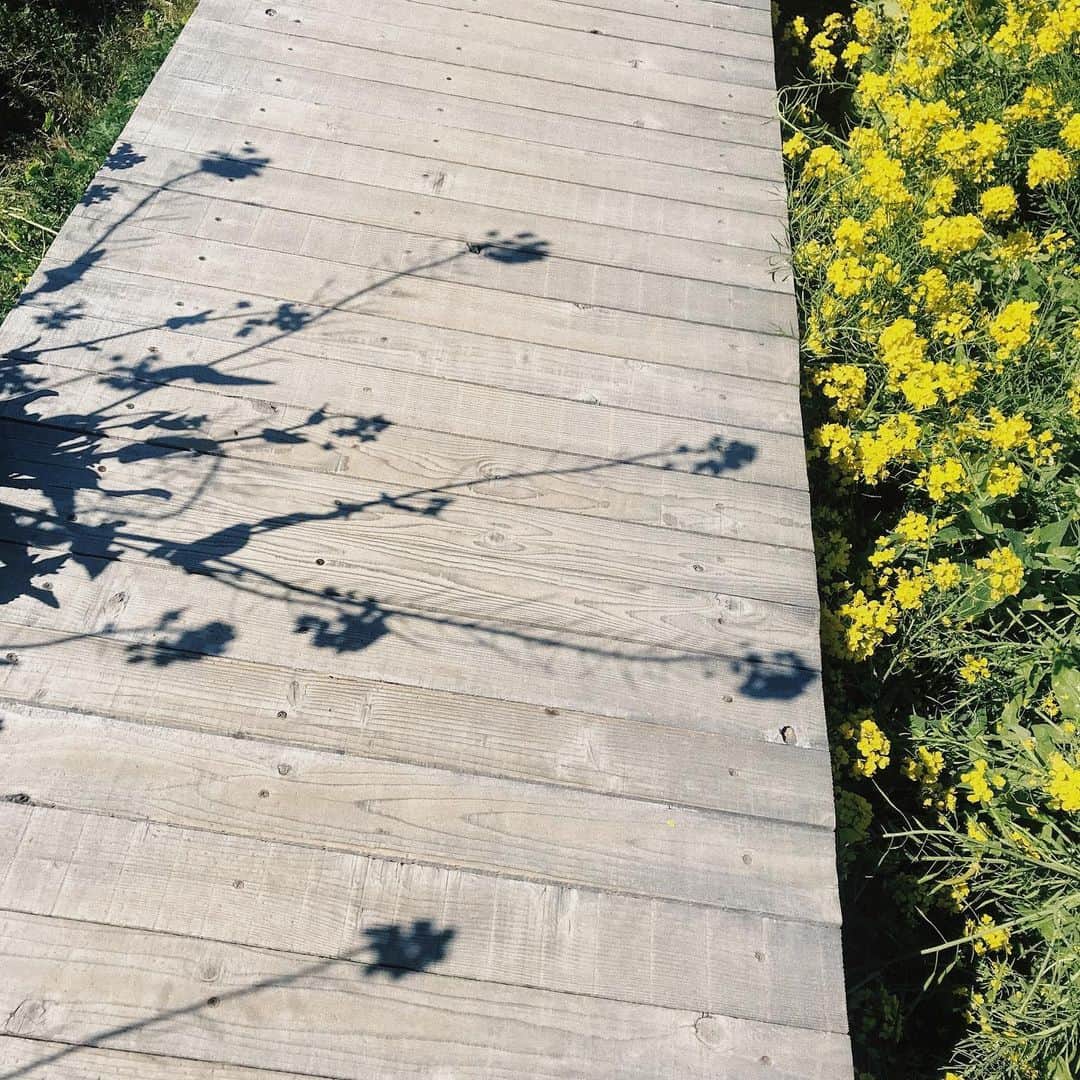 井村亜里香のインスタグラム