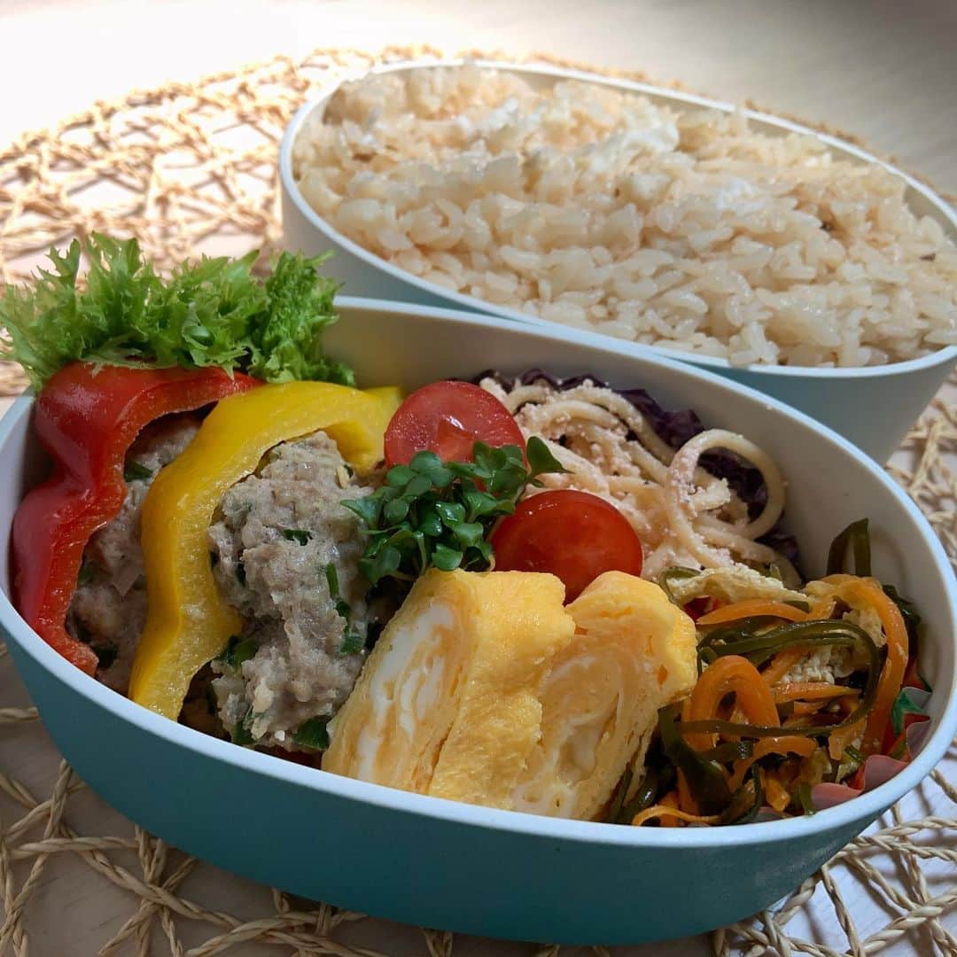 本田しおりのインスタグラム：「#今日のお弁当  #パプリカバーグ #卵焼き#明太子パスタ#切り昆布と人参と油揚げの煮物 #鯛の炊き込みご飯  #お弁当 #本田弁当 #旦那さん弁当 #神ちゃん弁当」