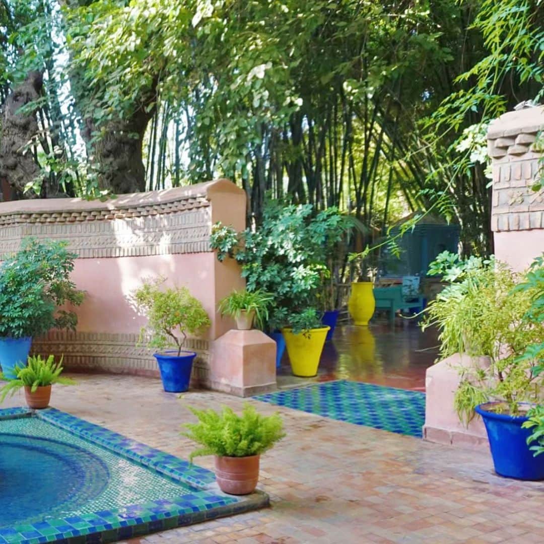 谷中麻里衣さんのインスタグラム写真 - (谷中麻里衣Instagram)「Jardin Majorelle, the exotic garden in Marrakech loved by Yves Saint Laurent 🌴 One of the most exquisite I’ve ever seen, though it was scorching in August ☀️ . マジョレル庭園🌿 青色と植物という大好きなもののコラボレーションの中での朝ごはん、幸せでした😊 . #majorelle  #majorellegarden  #morocco  #marrakech  #yvessaintlaurent #麻里衣旅行」4月30日 12時22分 - marieyanaka