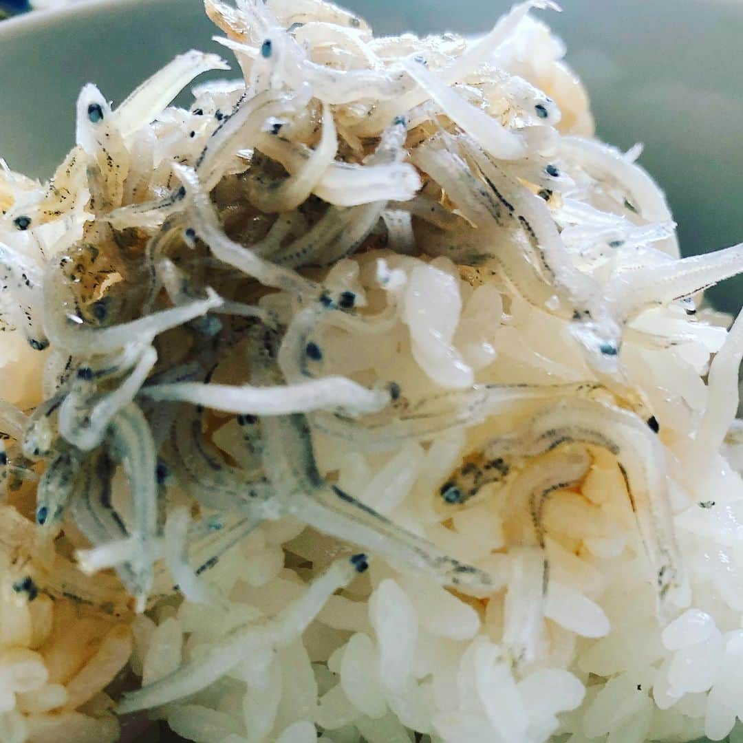 阿部洋子さんのインスタグラム写真 - (阿部洋子Instagram)「🍚🍚🍚 朝から3合、土鍋炊き。  #白米 #最強 !  きのうの #常備菜 と一緒に、 #いただきます  そして、 #じゃこ にごま油とお醤油を少し垂らして😋  #stayhome #おうちごはん #cooking  今日はずーっとおうちでお仕事。 原稿書いて、 オンライン会議からの、 またまた会議。  肩こるねー😭」4月30日 12時36分 - hirocoring