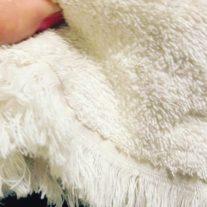阿部洋子のインスタグラム