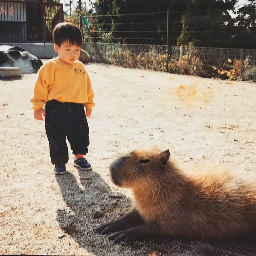 武田翔太のインスタグラム：「椎野新(@shiino_arata34 )から回ってきたので子供の頃の写真載せます😊子供の頃は元気でやんちゃでした😆 次は @nishidatetsuro  @ohtake89  お願いします🔥 #武田翔太#子供時代#西田哲朗  #大竹耕太郎#良い写真期待してます⚾️ #ちなみにこの頃は大分県人でした👍」