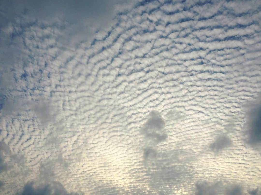 田辺あゆみさんのインスタグラム写真 - (田辺あゆみInstagram)「☁️ 今日の17:47の空が綺麗すぎやしませんか。」4月30日 22時41分 - _ayumitanabe_