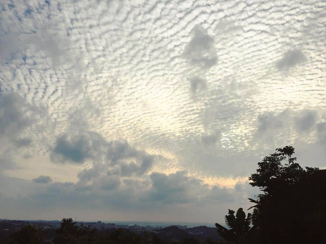 田辺あゆみさんのインスタグラム写真 - (田辺あゆみInstagram)「☁️ 今日の17:47の空が綺麗すぎやしませんか。」4月30日 22時41分 - _ayumitanabe_