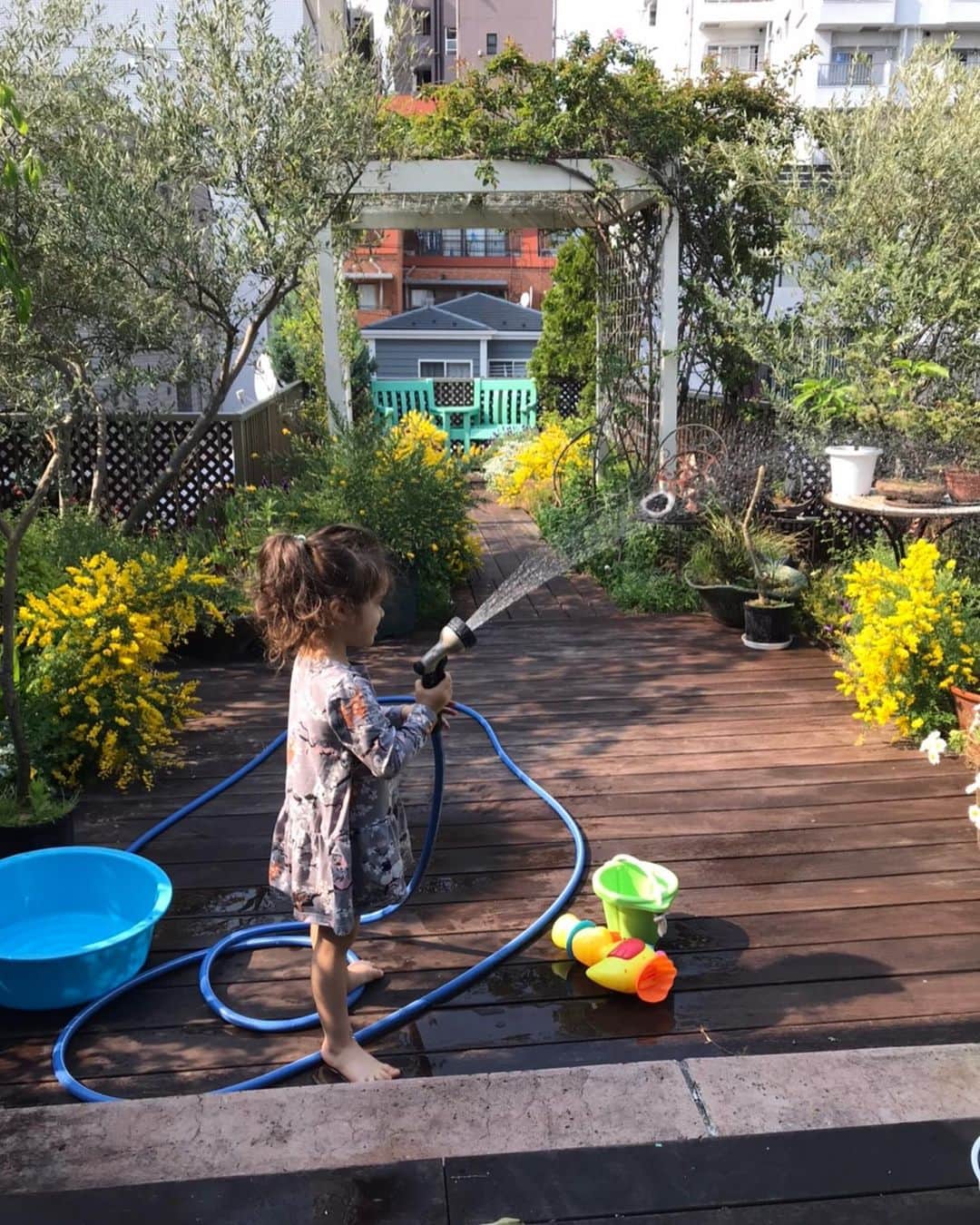 キャシー中島さんのインスタグラム写真 - (キャシー中島Instagram)「* 今日も午後はオンラインでキルト教室のレッスンです。 飛び入りのドゥ😻ですよ。  ハルコはいつものように屋上の草花にお水をあげています。 よく働くいい子です。  大きなバラの鉢植えを抱えてきたのは、かなえママ❣️ 『綺麗な薔薇ね』って言ったら、私へのプレゼントですって🎁 母の日の前渡しのようです。 私の好きな紫色のバラ🌹 うれしかったです🤗 今年は母の日はスルーだと思っていたので！ ありがとう大事にするね❣️ 海のパターンとハイビスカスのパターンのハワイアンキルト2枚をカットしていると、 ピンポーン！ 荷物が届きました。 5月8日放送のQVCのサンプルです。 すごく綺麗な着やすいウエアですよ。 今回はモンステラのネックレスもおしゃれです。 10時と23時の２回です。 チェックしてくださいませませ❣️」4月30日 22時42分 - official_kathynakajima