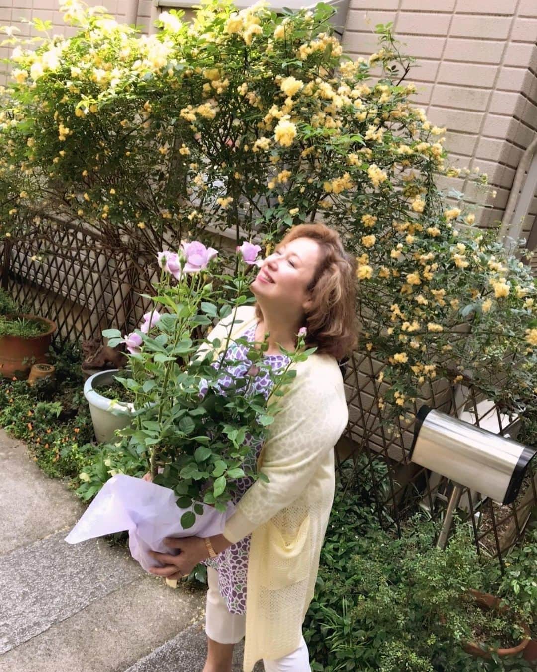キャシー中島さんのインスタグラム写真 - (キャシー中島Instagram)「* 今日も午後はオンラインでキルト教室のレッスンです。 飛び入りのドゥ😻ですよ。  ハルコはいつものように屋上の草花にお水をあげています。 よく働くいい子です。  大きなバラの鉢植えを抱えてきたのは、かなえママ❣️ 『綺麗な薔薇ね』って言ったら、私へのプレゼントですって🎁 母の日の前渡しのようです。 私の好きな紫色のバラ🌹 うれしかったです🤗 今年は母の日はスルーだと思っていたので！ ありがとう大事にするね❣️ 海のパターンとハイビスカスのパターンのハワイアンキルト2枚をカットしていると、 ピンポーン！ 荷物が届きました。 5月8日放送のQVCのサンプルです。 すごく綺麗な着やすいウエアですよ。 今回はモンステラのネックレスもおしゃれです。 10時と23時の２回です。 チェックしてくださいませませ❣️」4月30日 22時42分 - official_kathynakajima