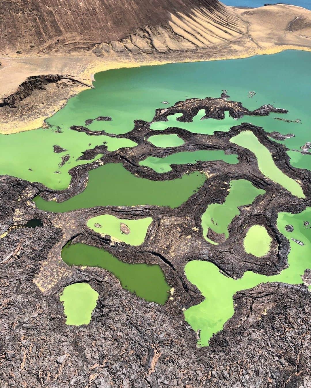 キム・ジョーンズのインスタグラム：「@Rimowa #tripschangeus the southern end of Lake Turkana several green algae pools where the huge Nile crocodiles congregate」