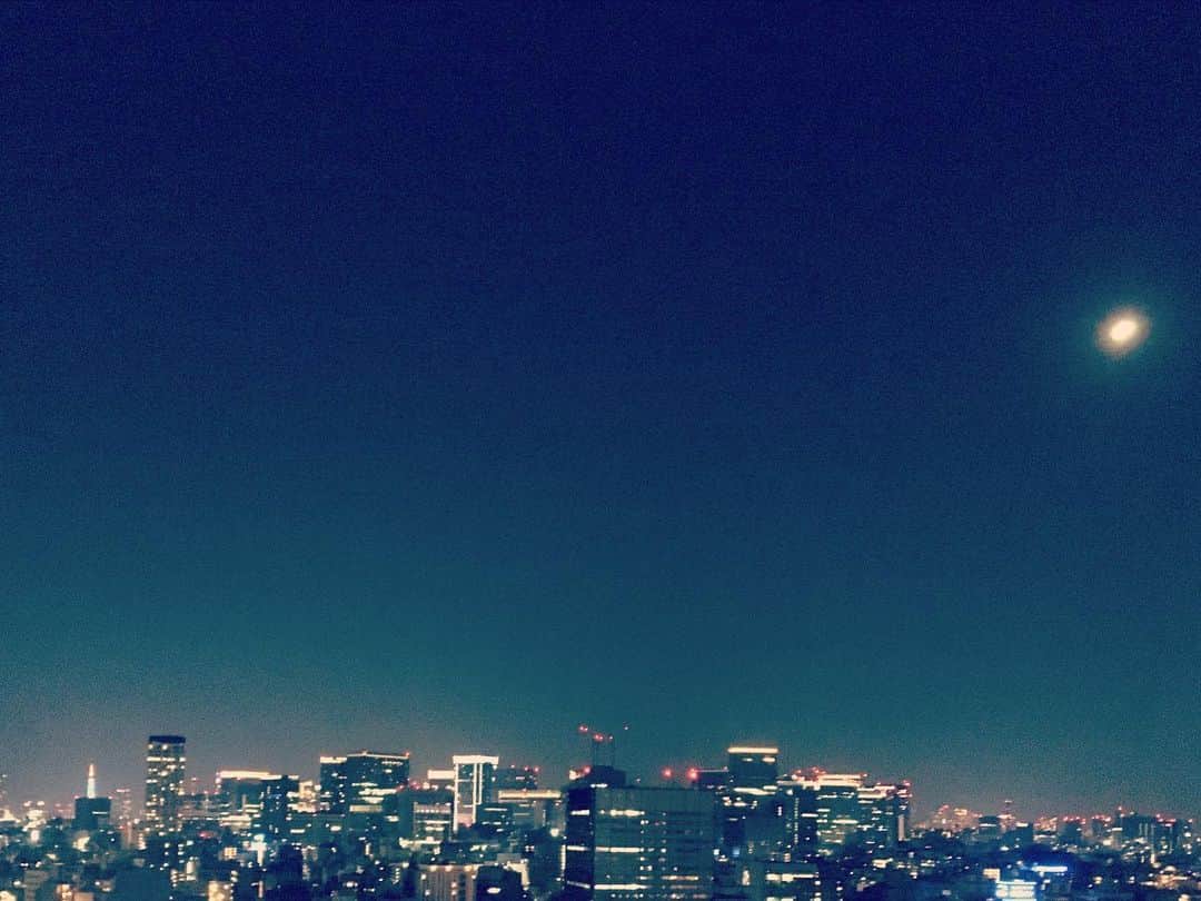 猫沢エミさんのインスタグラム写真 - (猫沢エミInstagram)「ベランダでピガと月を見ている。  日本も外出制限、1ヶ月延長しました。  今夜も半月。誕生日も半月だった。半分来たのかな。それともまた次の半月までこうしているのかな。  風が心地よい。飄々と時を送ろう。  #東京下町時間」4月30日 22時47分 - necozawaemi
