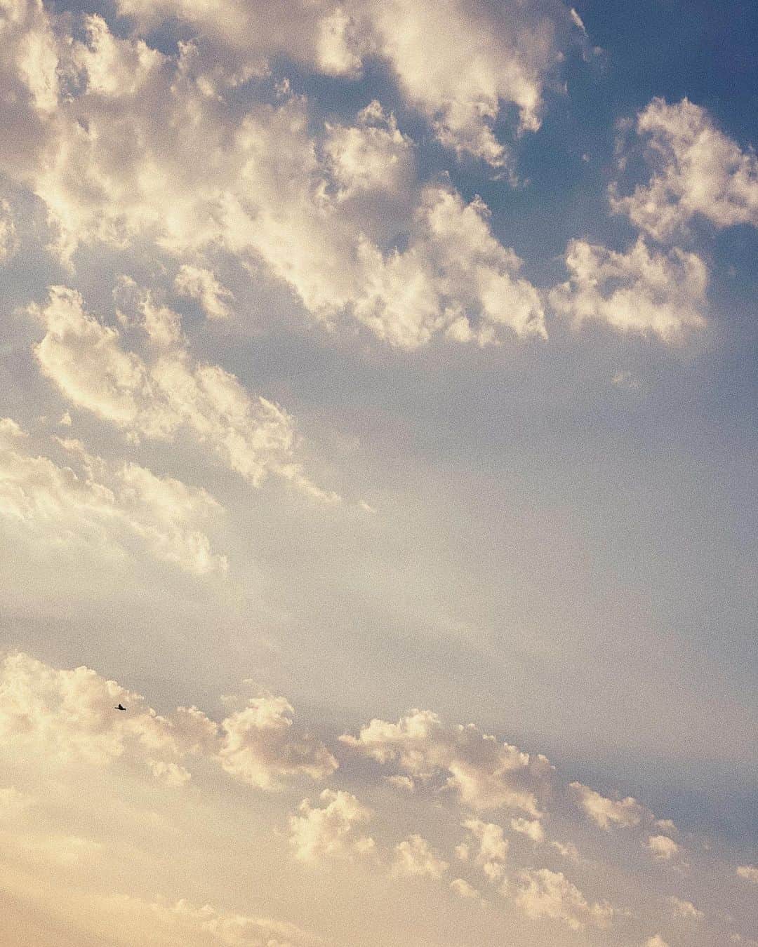 Lyloutteさんのインスタグラム写真 - (LyloutteInstagram)「~ 🌥 Passion ciel & nuages { #sky #clouds」4月30日 23時05分 - lyloutte