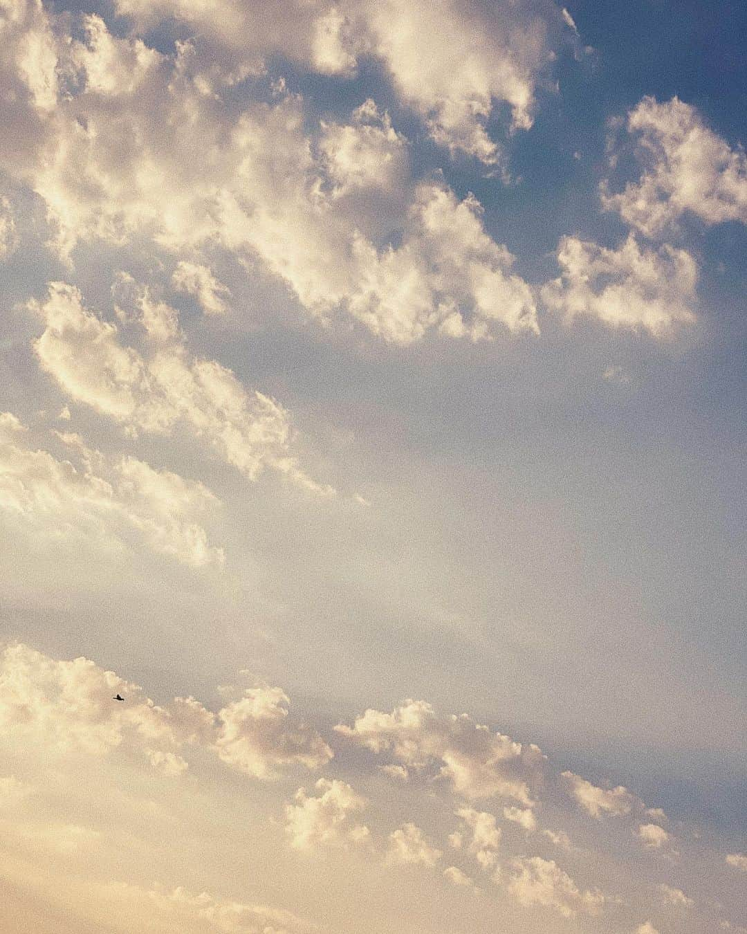 Lyloutteのインスタグラム：「~ 🌥 Passion ciel & nuages { #sky #clouds」