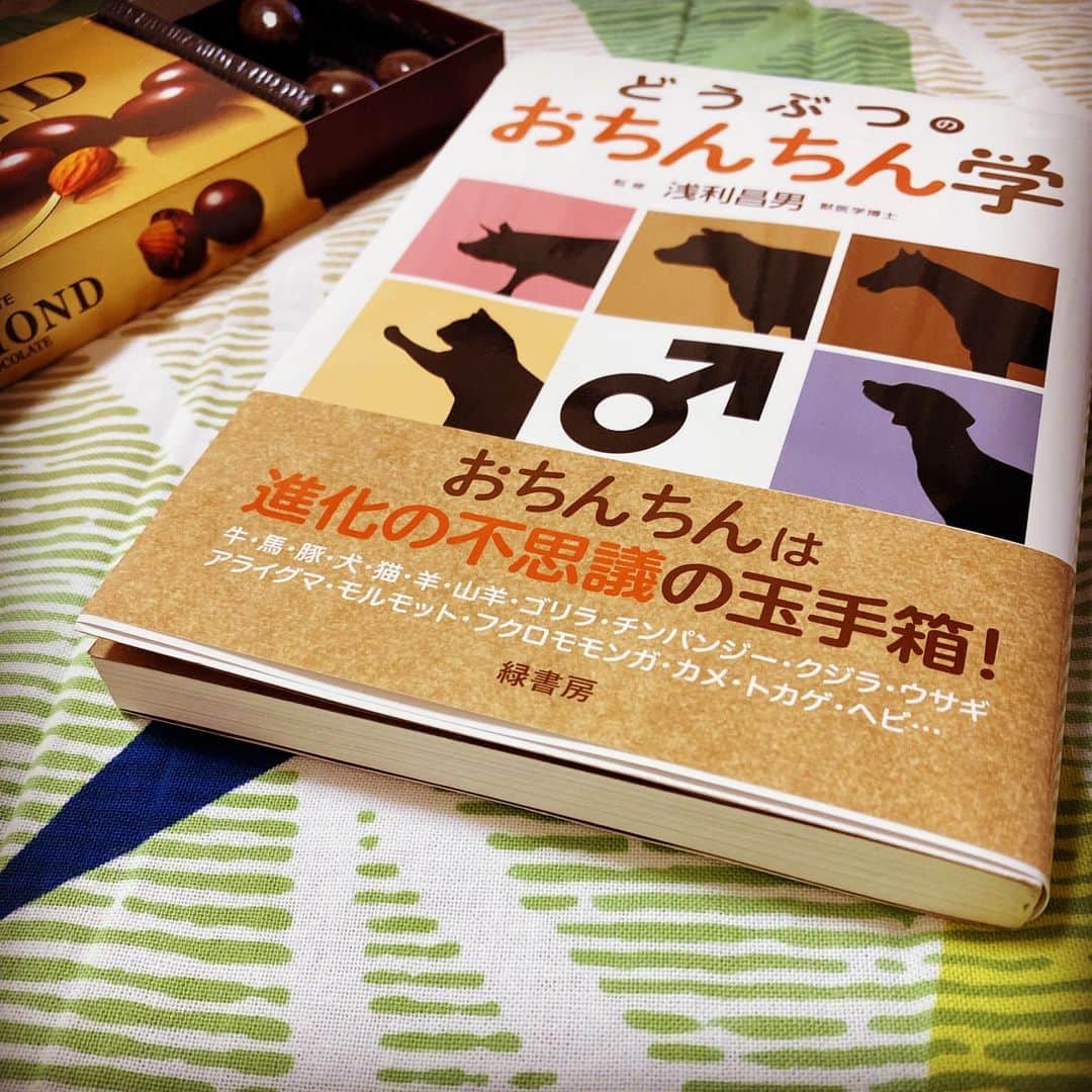 はらさんのインスタグラム写真 - (はらInstagram)「バビロンのり(@nori_0623 )から ブックカバーチャレンジ回ってきた  メイク本以外何読むかって？ わたしは興味のある本しか読まないよ 台風直撃した日はこの本のおかげで乗り切れました。  次は本出したサンシャイン坂田 @serorisakata  #ブックカバーチャレンジ」4月30日 23時41分 - univershara