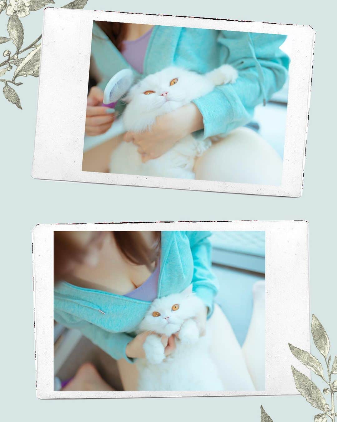 YingTzeさんのインスタグラム写真 - (YingTzeInstagram)「Cats & I 🐱❤️ Lancelot is my most photogenic cat ! Are you a cat or a dog person ? _ Today is the last day to pledge for April’s Patreon Rewards ~ for this month’s rewards preview fo check out my IG highlights. ❤️😘 ▶️ www.patreon.com/yingtze _ 📸 @kenn_tee  #blessed #catsofinstagram #catlife #persiancat」4月30日 14時56分 - yingtze