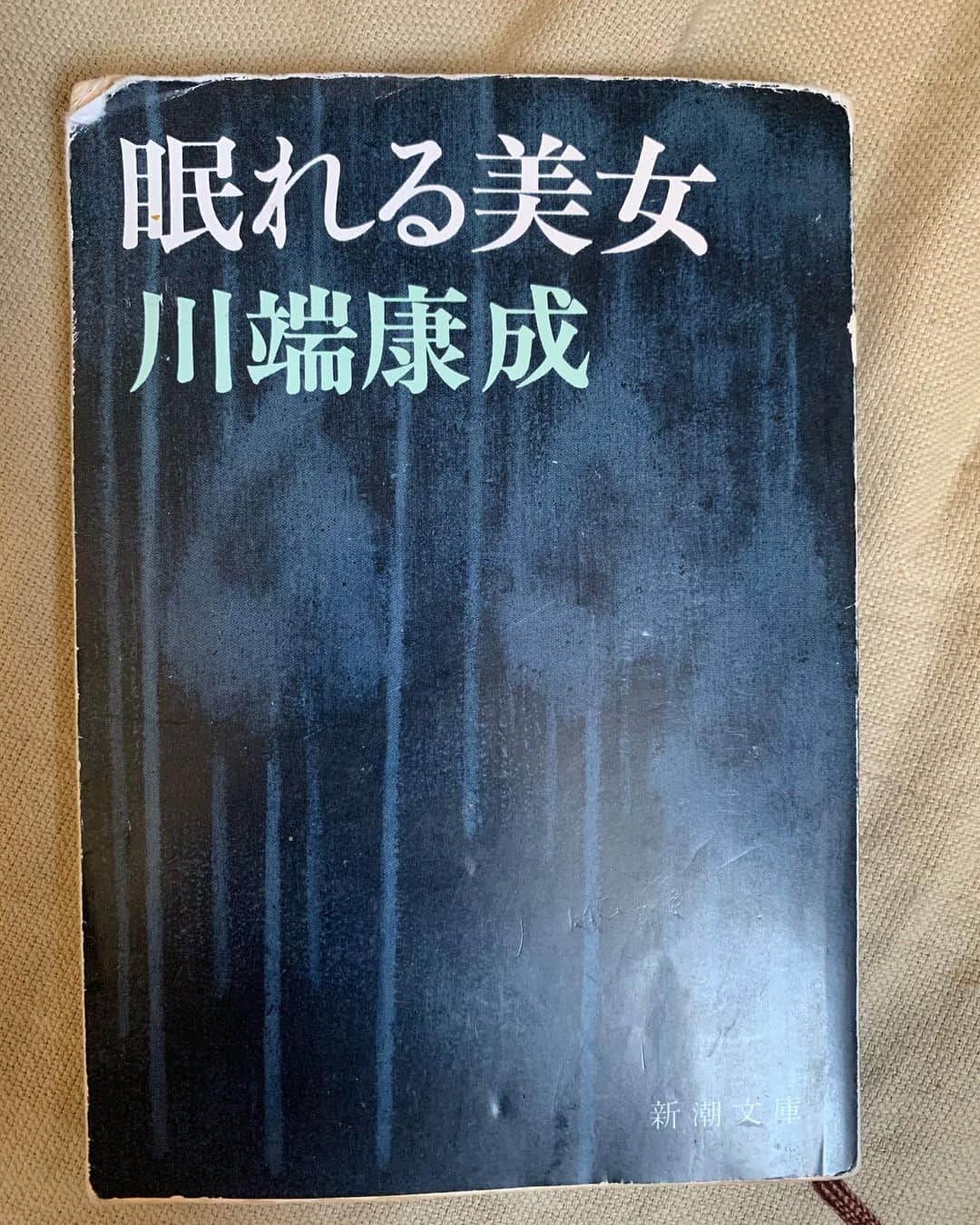 飯島望未のインスタグラム：「7日間ブックカバーチャレンジ  #7days7covers #bookcoverchallenge #ブックカバーチャレンジ  @noma77777 さん @babymaryfaline さんから引き受けました🍒  1冊目は 川端康成の眠れる美女 私の初めての川端康成作品がこれ。  ずっと前に私に川端康成の魅力を教えてくれた @masayakushino さんにバトン回します。 すでに何人もの方々からリクエスト来てると思いますが笑」