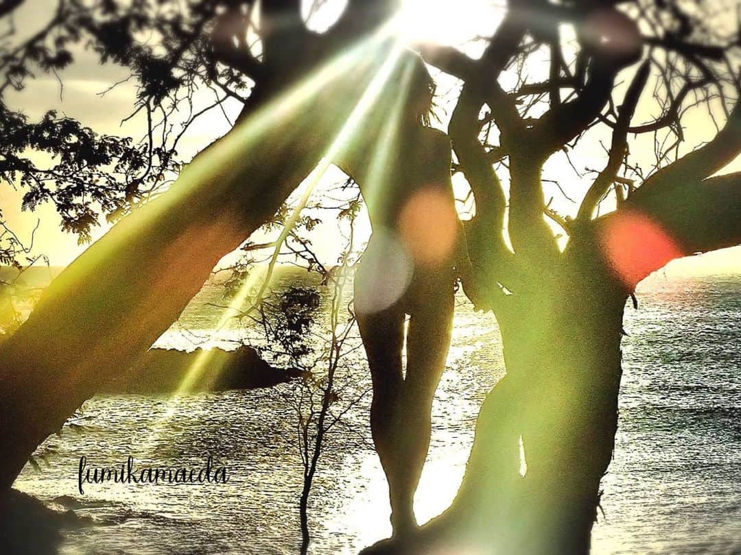 前田文香さんのインスタグラム写真 - (前田文香Instagram)「今日は暖かいですね！ だいたいゴールデンウィークから 半袖活動が始まります👕☀️ さぁ、お家の中の模様替えでもしようかな😆 ～家の中でも　太陽のひかりを感じていよう✨ Life with Wild Nature 2～  #OceanMeditation #TimeofRelaxation #Healing #intheForest #FeeltheNature #atHome #NaturePhotography  #BigIslandofHawaii  #livingTogether #LetsSaveLife♥️ Fumika Art Works」4月30日 15時29分 - fumika.maeda