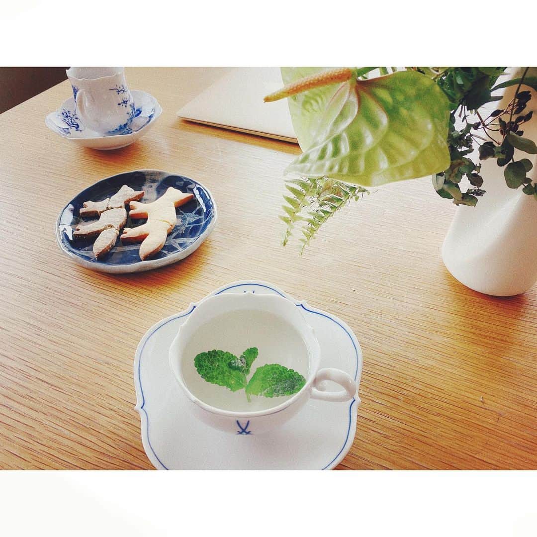 紗栄子さんのインスタグラム写真 - (紗栄子Instagram)「Afternoon teaはApple mint tea🌿 お湯注いだだけでとってもいい香り💘 東京から届いた @cafekitsune のビスケットと一緒に🦊💘 ビスケットがぼろぼろなのはご愛敬ということで🥰」4月30日 15時32分 - saekoofficial