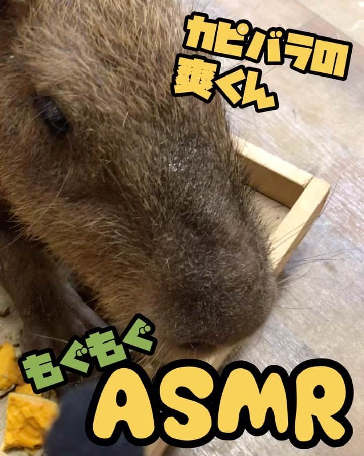 【公式】福岡ECO動物海洋専門学校のインスタグラム