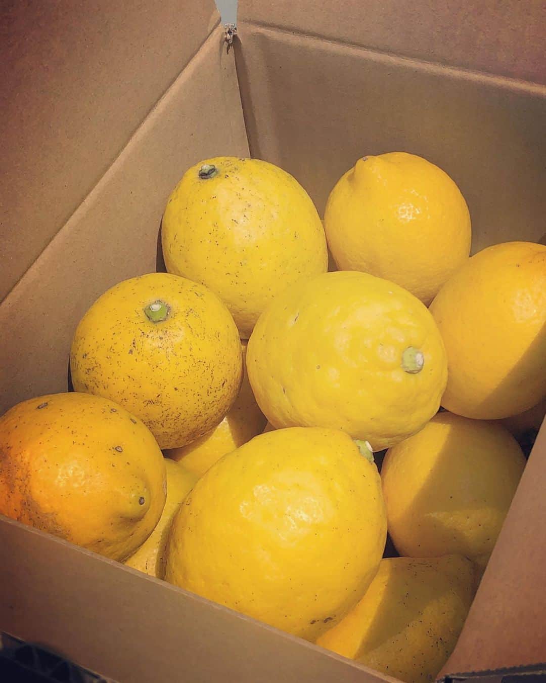 若森さちこさんのインスタグラム写真 - (若森さちこInstagram)「オオシマアコースティックさん @oshima.acoustic で買った無農薬のレモンが箱いっぱい届いたので、皮まで使ってケーキを焼いてみましたYO😊 #stayhome #lemon #vitaminc  #homemadecake」4月30日 16時02分 - pistachico