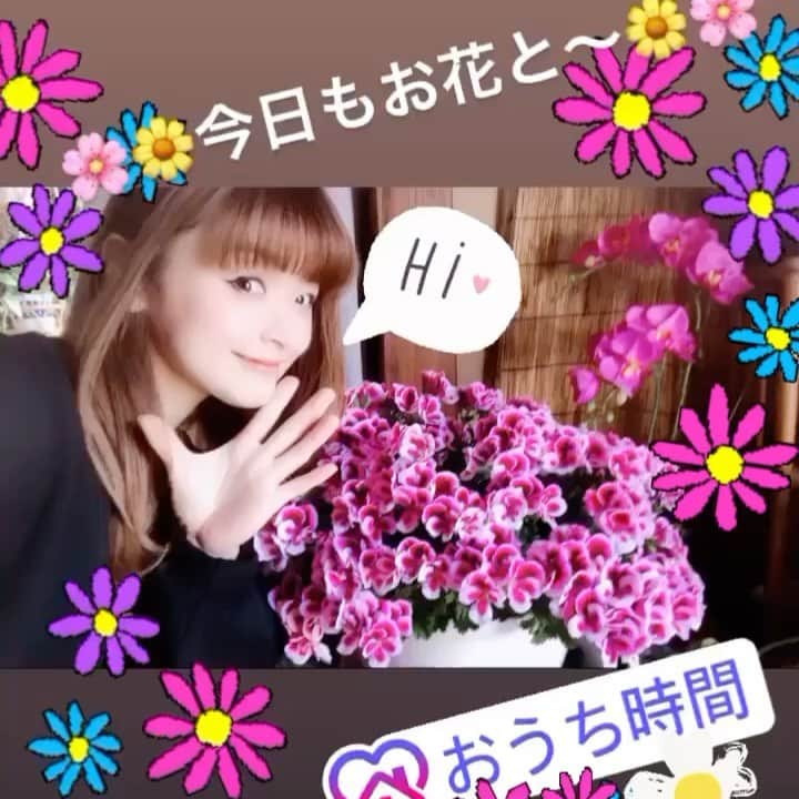 鈴木理沙のインスタグラム