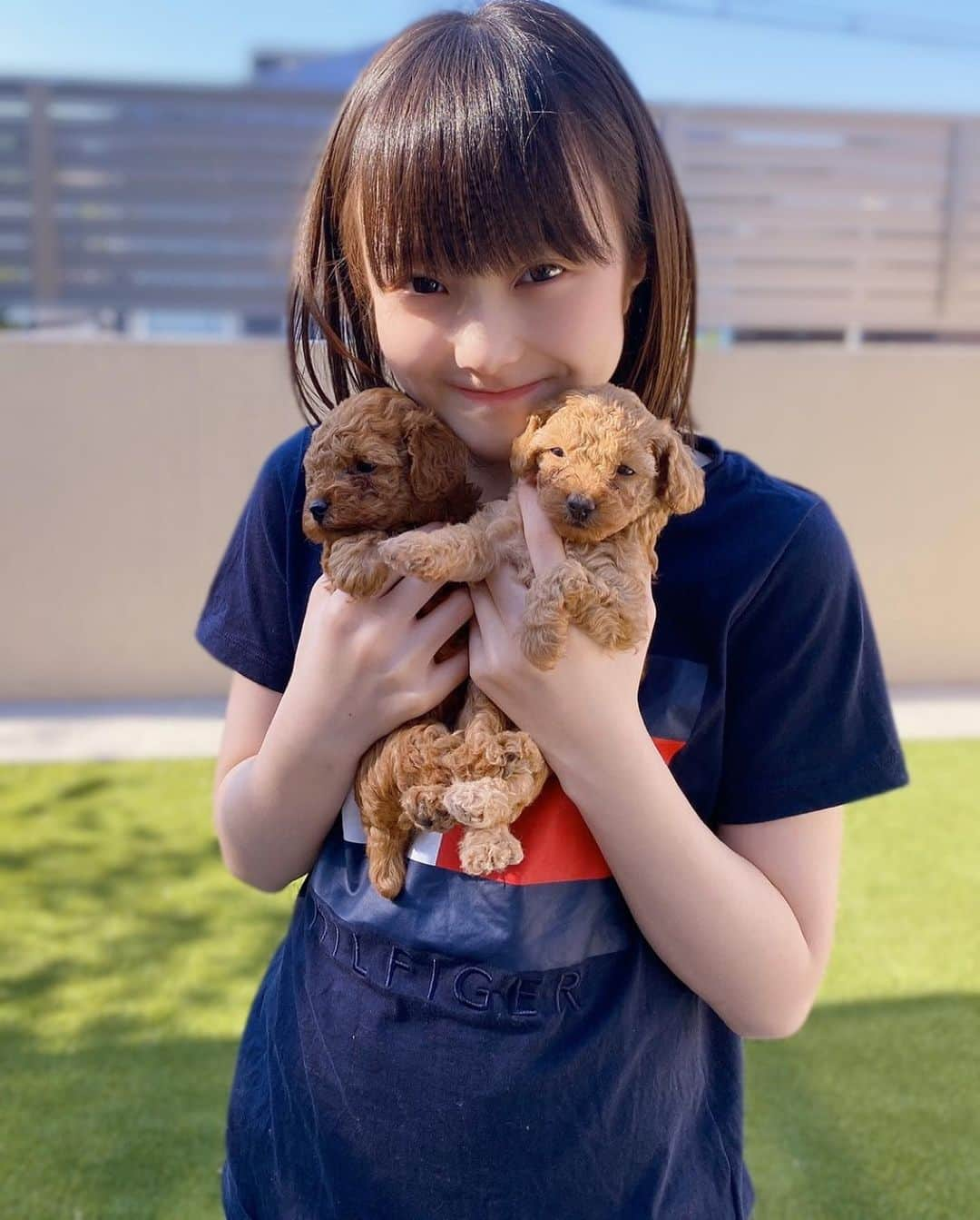 本田紗来さんのインスタグラム写真 - (本田紗来Instagram)「ルルロロ🐶初めてのおんも体験☀️🐾」4月30日 16時08分 - sara_honda0404