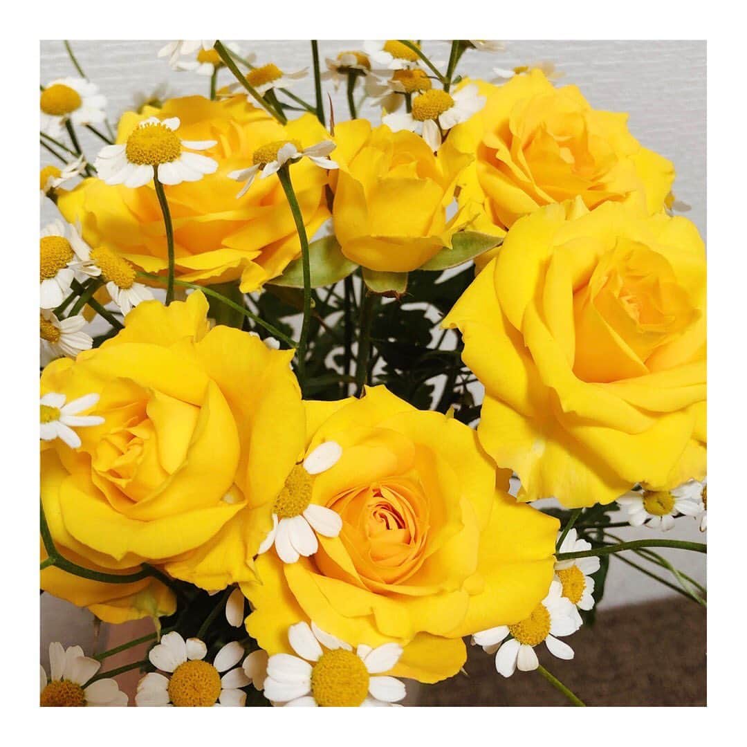 中島安里紗のインスタグラム：「今日からはこのお花💐 なんだか黄色の気分でした💛💛💛 心が明るくなるね✨ .  #お家時間 #花 #花のある暮らし #happy #幸せ #黄色の気分 #💐 #花が好き #stayhome #薔薇 #黄色い薔薇」