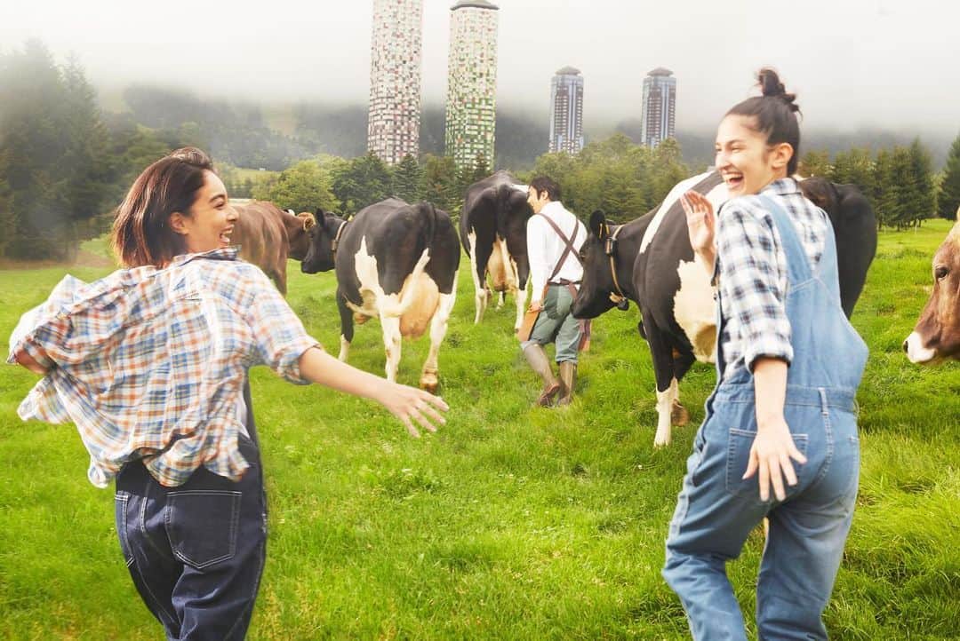 星野リゾートさんのインスタグラム写真 - (星野リゾートInstagram)「【牛を間近に感じ、牛乳を飲み比べする「モーモー学校」】﻿ ﻿ Hoshino Resorts Tomamu is inviting guests to their farm -- join the Moo Moo School to learn more about the cows and the unique flavor nuances of milk﻿ ﻿ 「星野リゾート　トマム」内にある「ファーム星野」は、元々ゴルフ場として運営していた土地を牧場として展開し、北海道らしい景観づくりや、おいしい生産物を提供しています。約100ヘクタールの広大な土地に放牧された牛や羊、ヤギが過ごす様子は、北海道ならではの光景です。また、放牧された牛はストレスが少なく伸び伸びと育ち、おいしい牛乳を出すと言われています。実は、北海道の牧場の中で放牧して牛を育てているところは、全体のわずか 10 パーセントと極わずか。自然に近い形で育てることは、景観づくりとおいしい生産物を作ることにもつながります。﻿ ﻿ このファーム星野では「モーモー学校」を実施しています。これは牛を間近に感じながら、牛の習性や特徴、個体による牛乳の味の違いなどを学ぶことができるアクティビティです。毎日、愛情を込めて牛の世話をしているガイドと共に、実際に牛の放牧を行います。さらに、この時期にしか味わえない、牛の個体によって味の特徴が異なる「トマム牛乳」を飲み比べいただけます。﻿ ﻿ #HoshinoResorts #星野リゾート #Risonare #リゾナーレ #RisonareTomamu #リゾナーレトマム #Hokkaido #Tomamu #北海道 #トマム #北海道旅 #JapaneseHotels #travelJapan #ig_Japan #JapanTravel #ファーム星野 #放牧」4月30日 16時30分 - hoshinoresorts.official