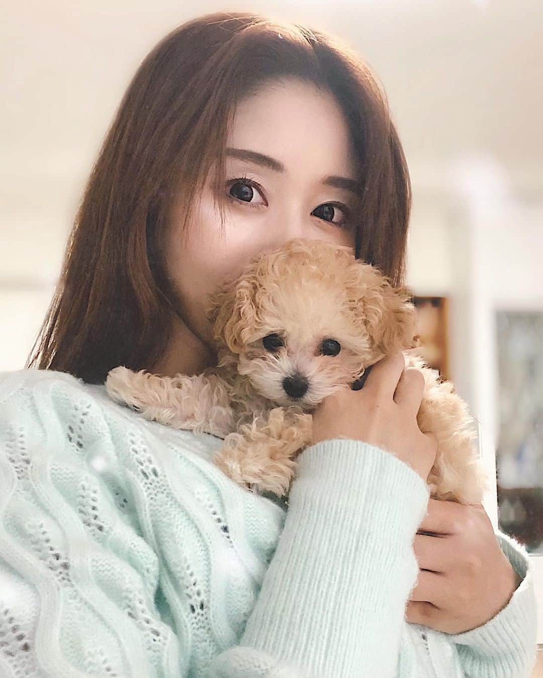 のインスタグラム：「🌸𝐀𝐩𝐫𝐢𝐥𝟑𝟎🌸 ﻿ 4月最終日✨明日からの5月、全ての人にとって 安らかな時間が少しでも増えますように🌎✨﻿ ﻿ #stayhome#toypoodle#doglover#instadog#puppy#トイプー#トイプー姉妹#멍스타그램#いぬすたぐらむ﻿ ﻿」