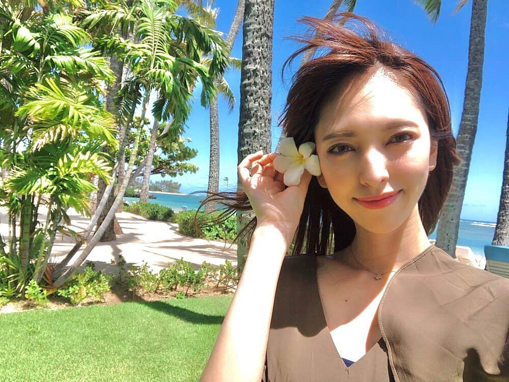 鹿野悠さんのインスタグラム写真 - (鹿野悠Instagram)「😎🌴🌺 #過去pic #ハワイの思い出  今日は暑かったですね☀️ . みんなでハワイ楽しかったなあ💓 . . . #hawaii #hawaiitrip #hawaiistagram #ハワイ #ハワイ旅行 #ハワイ女子旅 #旅行好き女子 #kahalahotel #kahalabeach #kahala #カハラホテル #カハラ  #ハワイの空 #青空  #selfie #過去写真 #プルメリア  #旅スタグラム  #美女navi #dholic #followｍe」4月30日 19時02分 - harukano1204