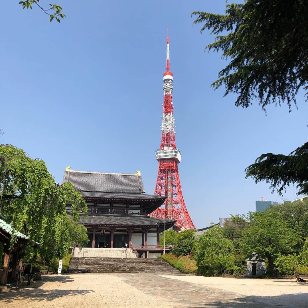 飯森範親のインスタグラム：「増上寺と東京タワー… 参拝客は…誰もいませんでした… 今回は僕も参拝は遠くから、自転車を数十秒留めて写真を撮るだけにしておきました。」