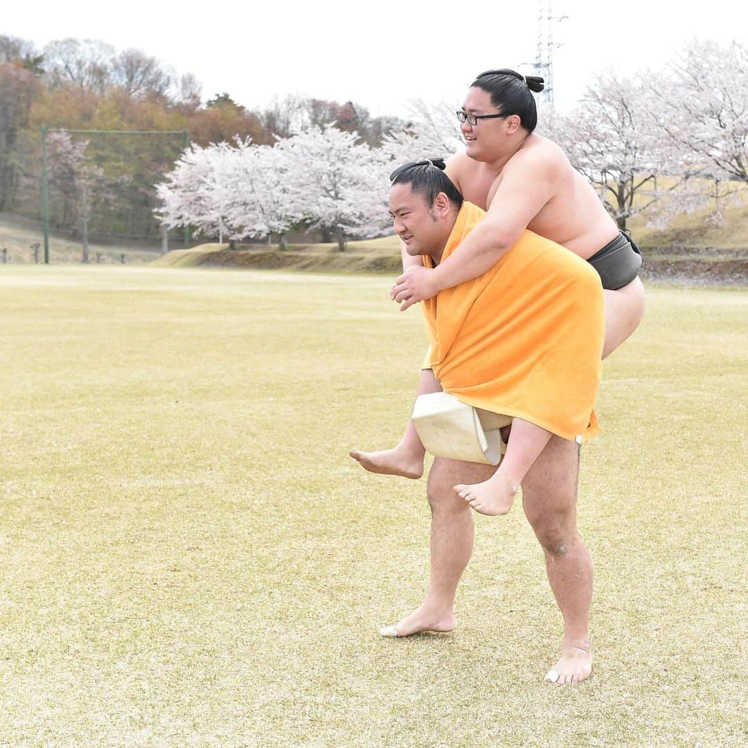 日本相撲協会さんのインスタグラム写真 - (日本相撲協会Instagram)「昨年の春巡業を振り返る🌸  昨年、常陸大宮市で行われた春巡業の写真を振り返ります。 ・地元、茨城県の巡業に参加した荒磯親方（元横綱 稀勢の里）と豊ノ島（井筒親方） ・.山稽古の様子、琴恵光 ・お昼寝中の錦木 ・会場を移動する、呼出 啓輔 （撮影：2019.4.14 　ベースボール･マガジン社） #sumo #相撲 #力士 #大相撲 # #春巡業を振り返る #春巡業 #常陸大宮#西部総合公園体育館#sumowrestling #sumowrestler  #japanculture #稀勢の里#豊ノ島#琴恵光#錦木#荒磯#茨城」4月30日 19時31分 - sumokyokai