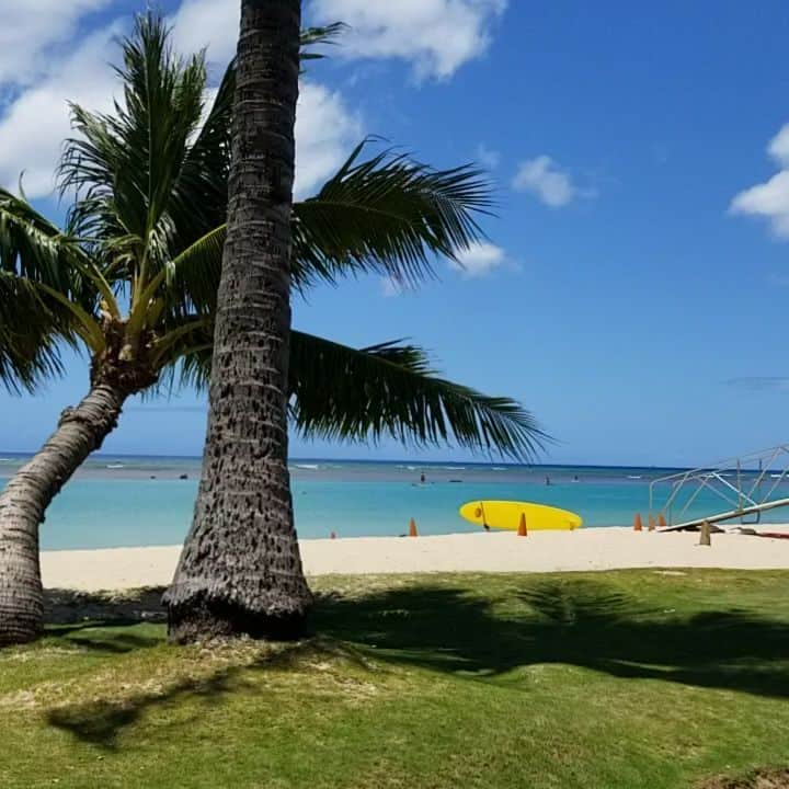 瀬川慶のインスタグラム：「Just sound of the wind on the beach. 安心して下さい、喋ってませんよ🤪  #aloha #hawaii #alamoanabeach #covid19hawaii #socialdistancing #stayhome #ハワイ #アロハ 　#アラモアナビーチ #ステイホーム #コロナに負けるな #おうちでハワイ #風の音 #自然が一番　#しゃべりいらんから　#ホントに番組やってた? #一緒に頑張ろうね 　#GWはステイホーム」