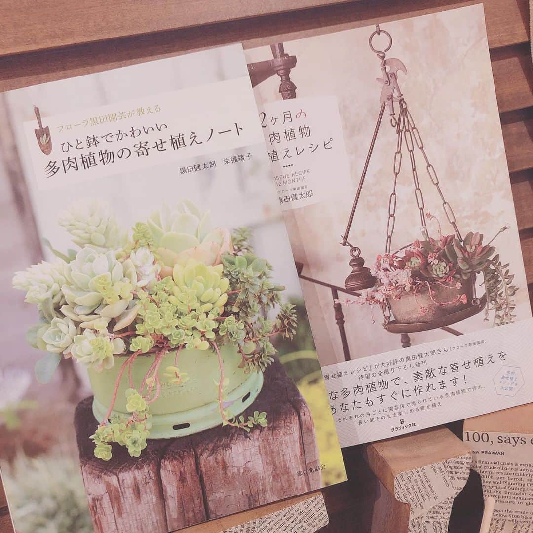 高橋里帆のインスタグラム：「7日間ブックカバーチャレンジ 2日目の今日は✨  私が多肉植物が大好きになった1冊を💕  多肉は、もっとメンズっぽい？どちらかと言うとサボテンの様なクールなイメージでした🙄  この1冊に会うまでは〜💕 ジュエリーケースを開けた時の様な、 キュンキュンする様なときめき感💕  @kentarokuroda  さんの作る寄せ植えがとっても大好きになりました✨  お店に遊びに行ったりもしますが、本当！お店も素敵ですよ✨ 器も色々可愛いのがいっぱい✨ グリーンの花束の様な寄せ植えが本当に素敵すぎる🥰  そんなに多肉植物のイメージを変えてくれた1冊です。  本当どれも可愛くて大好き💕  今日のバトンは　@kokoro_golf  ちゃんに渡しま〜す✨ ベイビーちゃんは、もうすぐハイハイするかなぁ〜✨ 全然会ってないから成長はインスタでチェック中💕 可愛いだなぁ〜これがまた❣️ 「読書文化の普及に貢献するためのチャレンジで、参加方法は好きな本を1日1冊、7日間投稿する」 #7days #7bookcovers #BookCoverChallenge #7日間ブックカバーチャレンジ  #三枝こころ　ちゃん #多肉植物#オススメの1冊#高橋里帆オススメ」