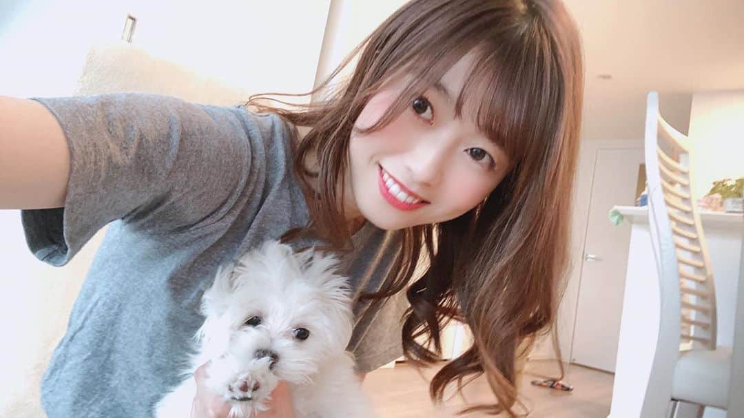 西澤由夏さんのインスタグラム写真 - (西澤由夏Instagram)「‪私のリモートワーク中の癒しは、この子です💓‬ ‪3ヶ月のマルチーズ🐶💓‬ ‪はぁ〜可愛い…☺️‬ ‪#おうち時間 #愛犬 ‬」4月30日 21時05分 - yknszw